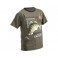 Dragon koszulka t-shirt, sandacz Olive