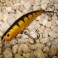 Wobler D.A.M EFFZEET Pro-Lite Minnow 5cm / 3g Perch